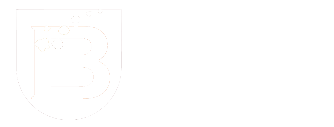 Universitas Bakrie Press